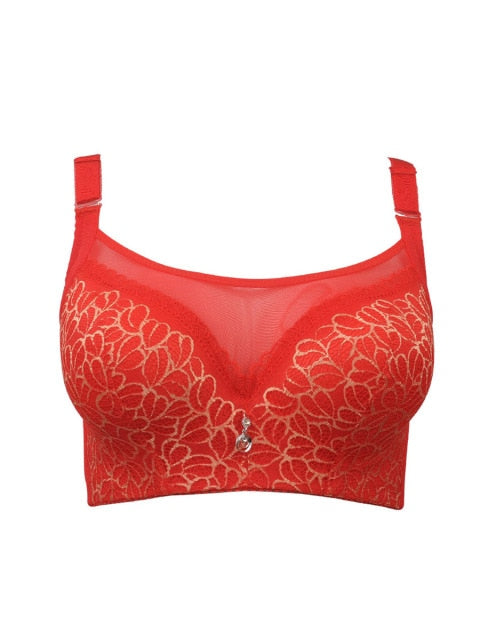 HLS Comfort Lace Full Cup Bra.